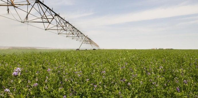 El departamento de Agricultura refuerza su compromiso con el campo turolense.