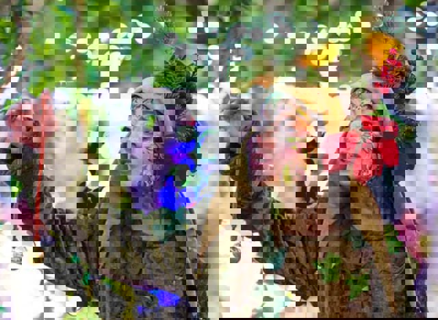 PortAventura Navidad