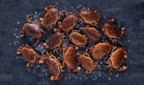 Comunicados Sociedad