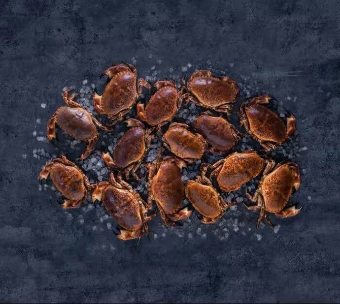 Buey de mar de Noruega