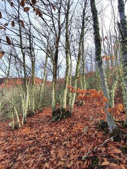 Una de las zonas visitadas para identificar las 10 fincas piloto que liderarán la gestión regenerativa del paisaje en el marco del proyecto Souto Vivo que impulsa ADR Bierzo-Cabrera.