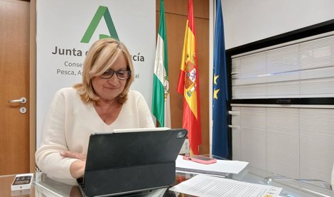 Es Andalucía - Cádiz