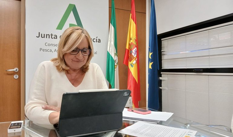 Es Andalucía - Cádiz