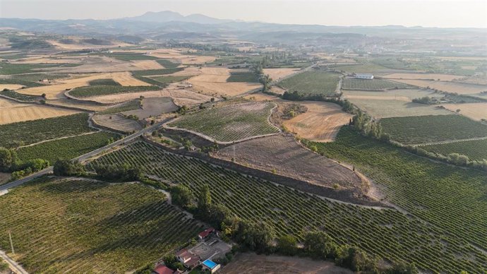 Imagen aérea del yacimiento.
