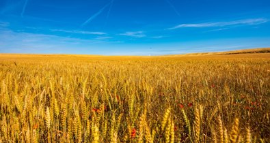 EpAgro - Agricultura