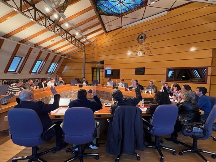 Comisión de Hacienda y Finanzas de las Juntas Generales de Bizkaia.