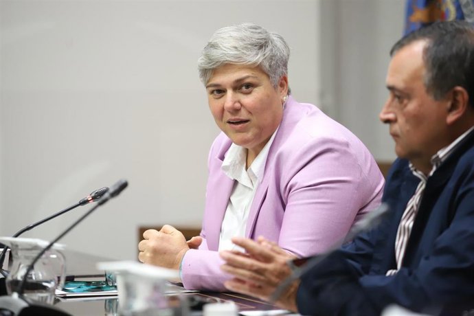 Archivo - La comisionada de Transparencia y Acceso a la Información Pública de Canarias, Noelia García Leal, comparece en comisión parlamentaria