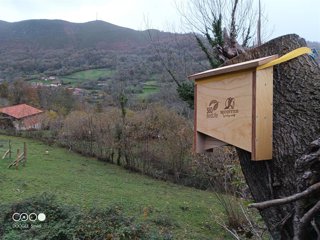 'Montes Vivos' De SEO/Birdlife Demuestra Que Los Castañares Y Avellanares Se Pueden Gestionar De Forma Más Sostenible