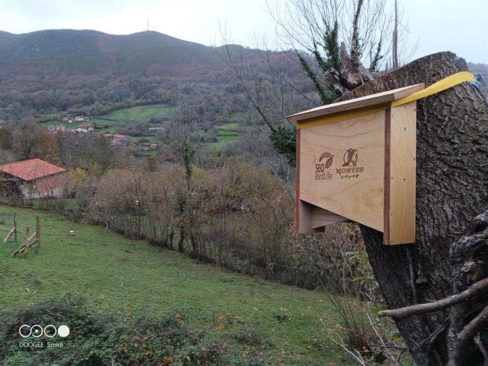 'Montes Vivos' De SEO/Birdlife Demuestra Que Los Castañares Y Avellanares Se Pueden Gestionar De Forma Más Sostenible