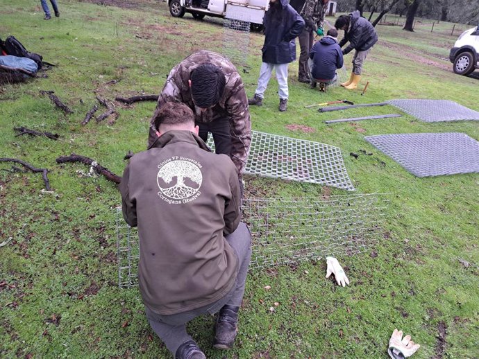 Plantación de árboles en Cortegana.