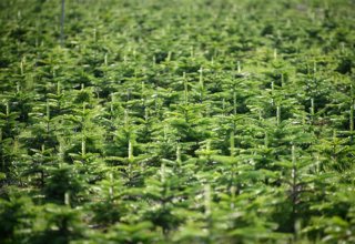 Archivo - El 'Ómnibus de alimentos y piensos' permite plaguicidas tóxicos ilimitados y pone "en riesgo" a la población, según ONG