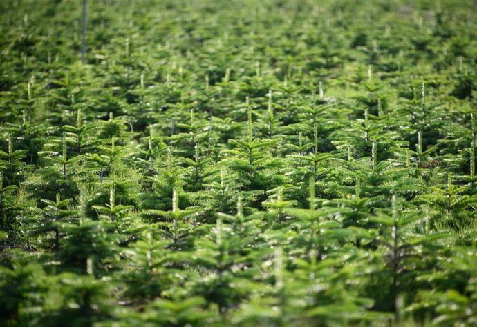 Archivo - El 'Ómnibus de alimentos y piensos' permite plaguicidas tóxicos ilimitados y pone "en riesgo" a la población, según ONG