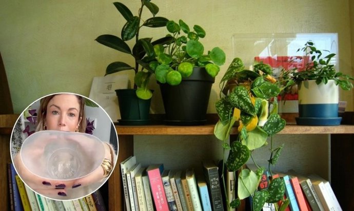 La maceta de autorriego por menos de 30 céntimos para que tus plantas no pasen sed cuando te vas