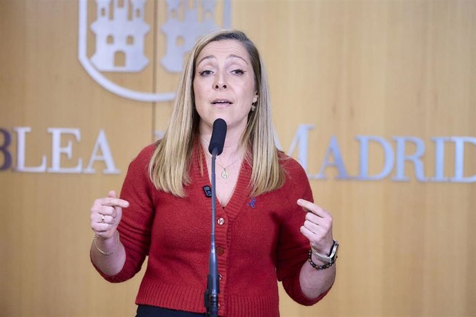 La diputada del PSOE en la Asamblea Lorena Morales, ofrece una rueda de prensa en la Asamblea de Madrid