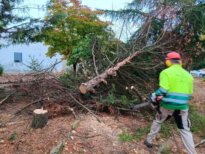 Cuadrillas forestales de la Diputación de Valladolid.