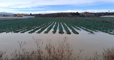 Es  Andalucía - Almería