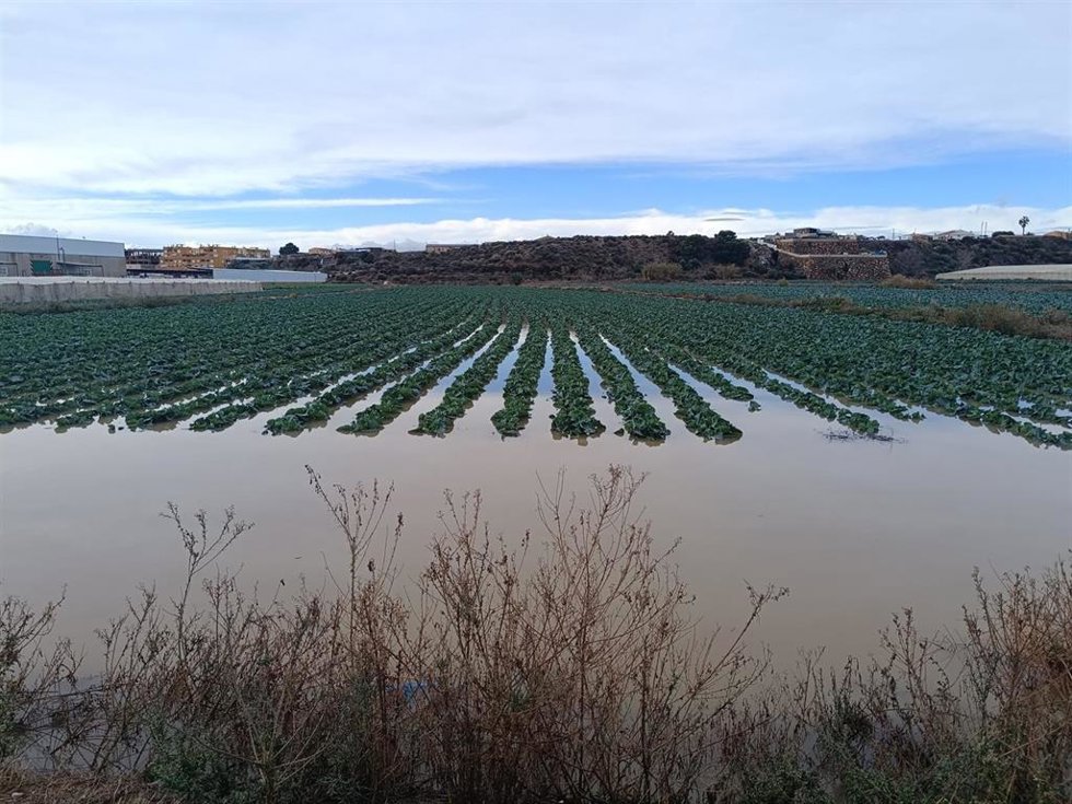 Cultivo anegado en el Levante almeriense.