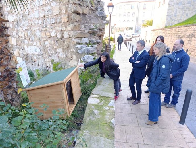 Presentación de las casetas para colonias felinas