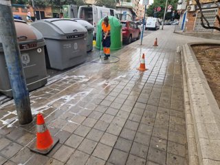Archivo - Trabajos de limpieza en Alicante