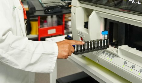 Es Andalucía - Sevilla