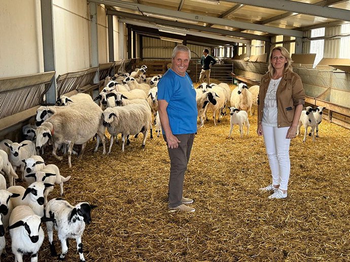 Explotación ganadera