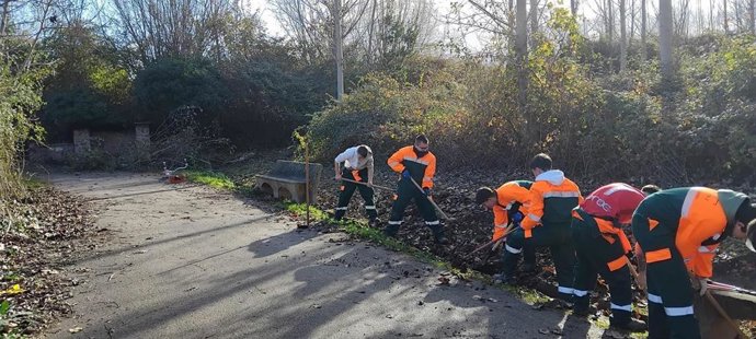 Los alumnos del IES Esteban Manuel de Villegas inician trabajos de mantenimiento en el Paseo San Julián de Nájera
