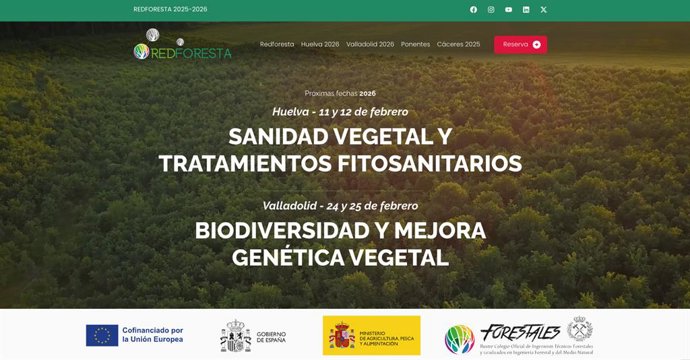 Impulso de la innovación y sostenibilidad en el sector forestal.