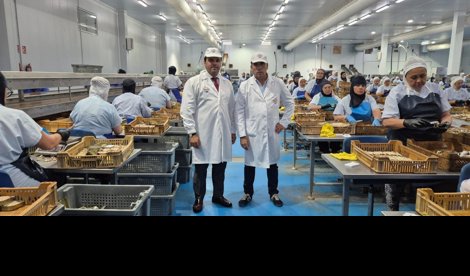 Es Andalucía - Huelva