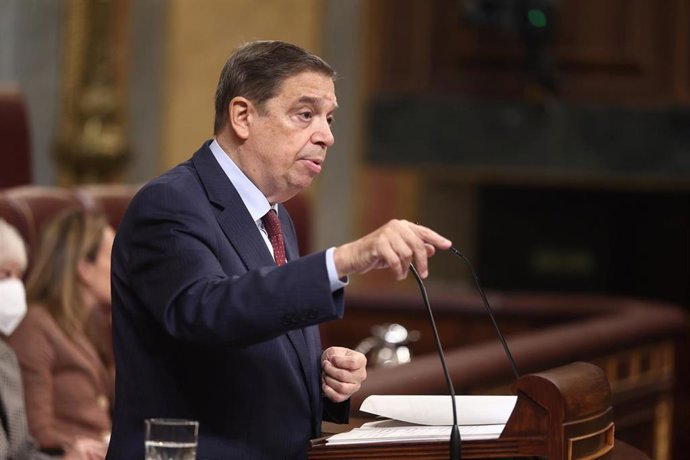 El ministro de Agricultura, Pesca y Alimentación, Luis Planas. 