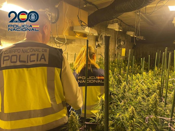LA POLICÍA NACIONAL INTERVIENE 2.700 PLANTAS DE MARIHUANA EN EL INTERIOR DE UN CHALÉ DE LUJO Y DETIENE A TRES PERSONAS
