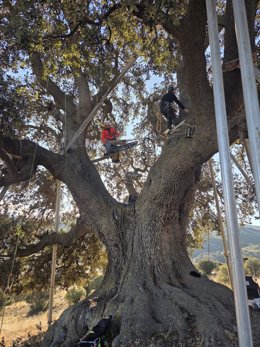 Instalación de nuevos anclajes para preservar La Peana de Serón (Almería).