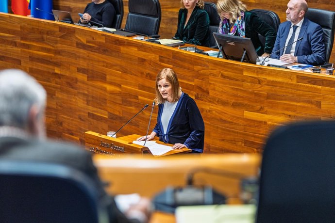 La diputada del Grupo Mixto, Covadonga Tomé, interviniendo en el Pleno de este viernes en la Junta General.