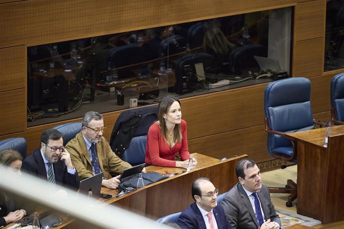 La portavoz de Vox en la Asamblea de Madrid, Isabel Pérez Moñino, durante el debate de los Presupuestos de 2026, en la Asamblea de Madrid, a 19 de diciembre de 2025, en Madrid (España).