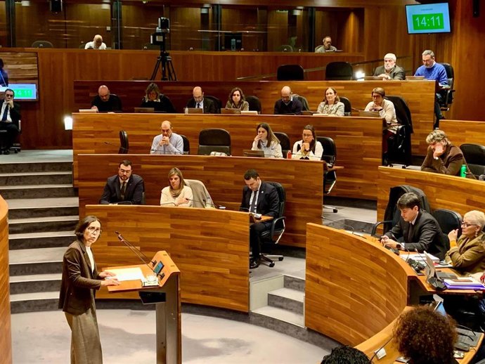 La portavoz parlamentaria socialista, Dolores Carcedo, interviniendo este viernes en la Junta General.