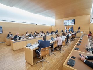 Archivo - Pleno del Cabildo de Tenerife