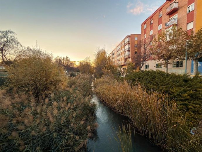 Cauce de la Esgueva.