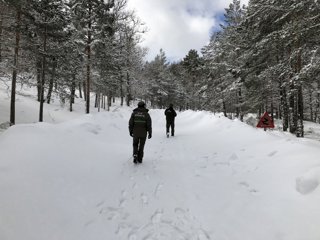 Archivo - Los accesos por pista forestal a la Laguna Negra de Urbión, uno de los lugares más turísticos de la provincia de Soria.