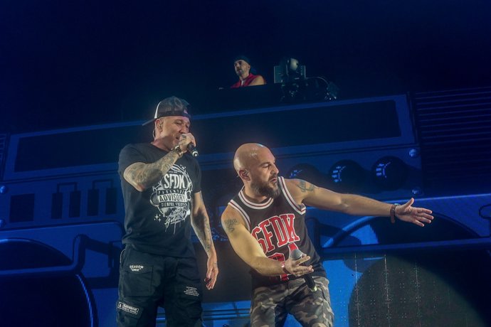 SFDK en un concierto