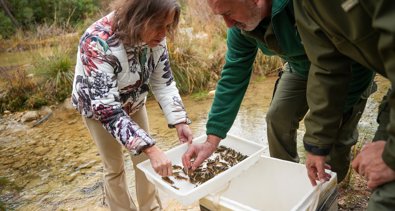 Es Andalucía - Jaén
