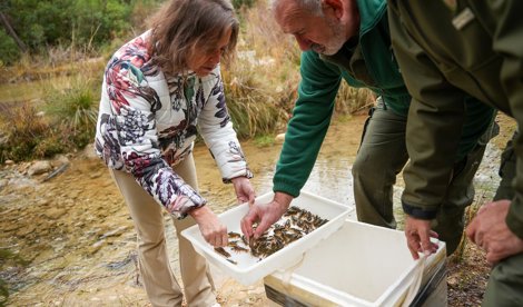 Es Andalucía - Jaén