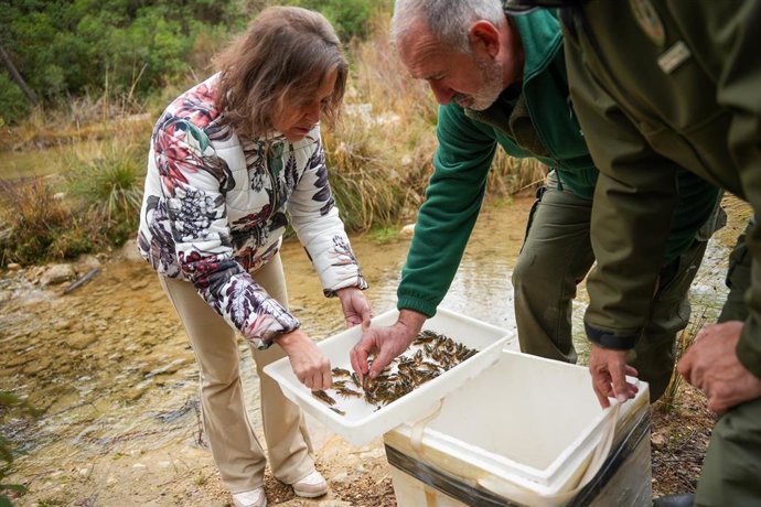 Vídeo de la noticia