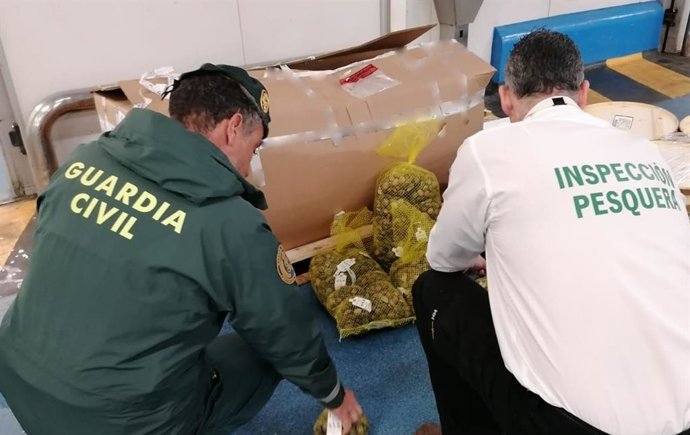 Un agente de la Guardia Civil y un inspector de Pesca inspeccionan el producto.