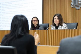 Molné y Tor durante la comparecencia en el Consell General.