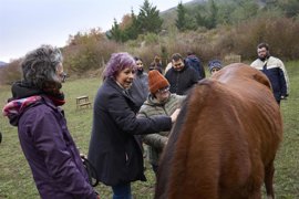 Foto: UNAI BEROIZ/GOBIERNO DE NAVARRA