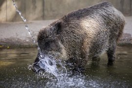 Foto: Alejandro Martínez Vélez - Europa Press - Archivo