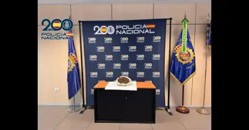 Detinguda una dona amb mig quilo de marihuana damunt