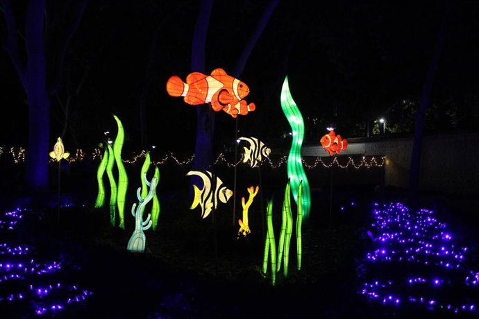 Lucidum Natura en Albacete