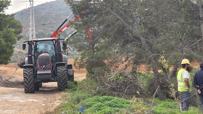 Maquinaria operando sobre el estrato arbóreo en la Colada de Cantarranas, cerca de Los Belones en Cartagena.