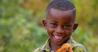 Cooperación y Desarrollo