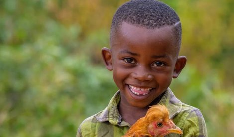 Cooperación y Desarrollo